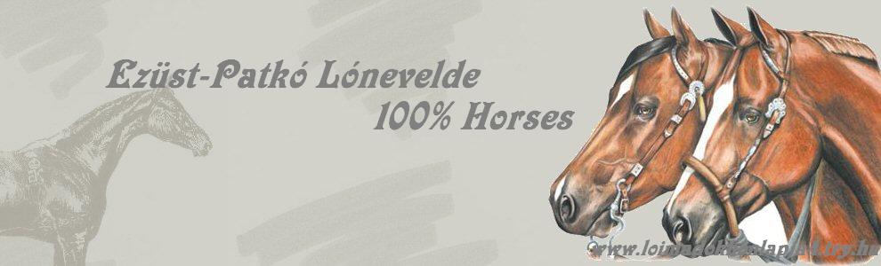 Ezst-Patk Lnevelde-100% Horses